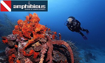 Amphibious Diving Center, Πολλαπλές Περιοχές