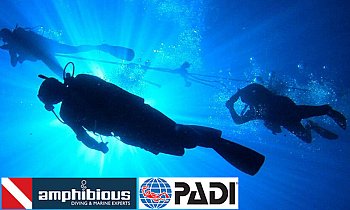 Amphibious Diving Center, Πολλαπλές Περιοχές