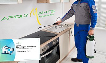 Apolymantis, Αττική