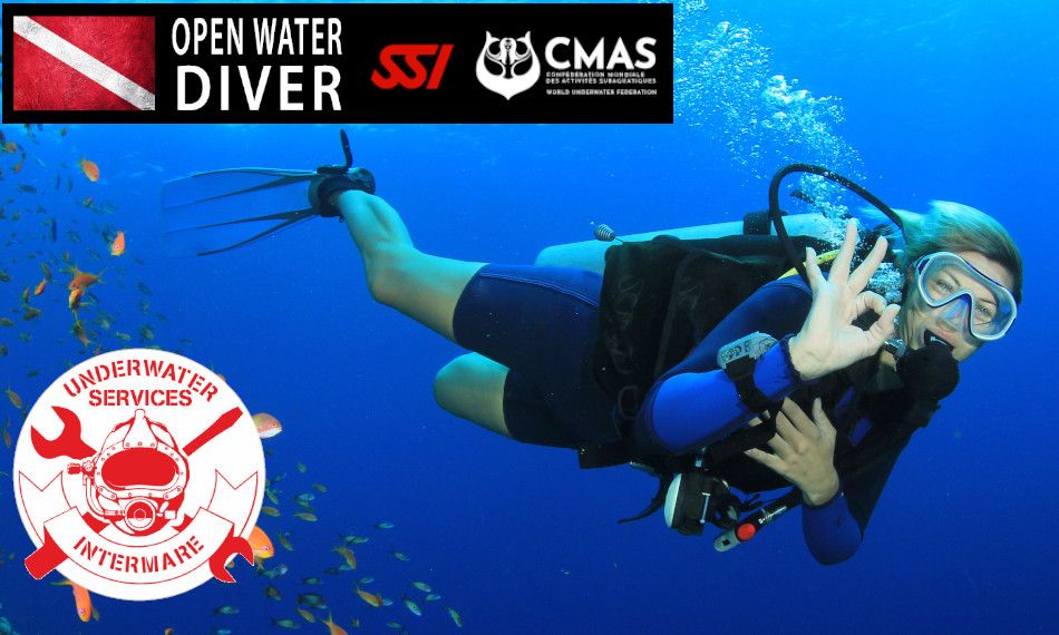 Intermare Divers, Άλιμος