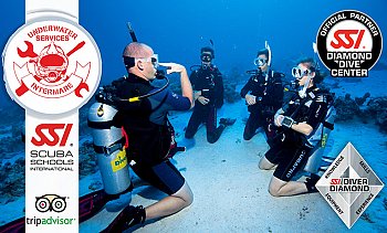 Intermare Divers, Βάρκιζα-Παλαιά Φώκαια