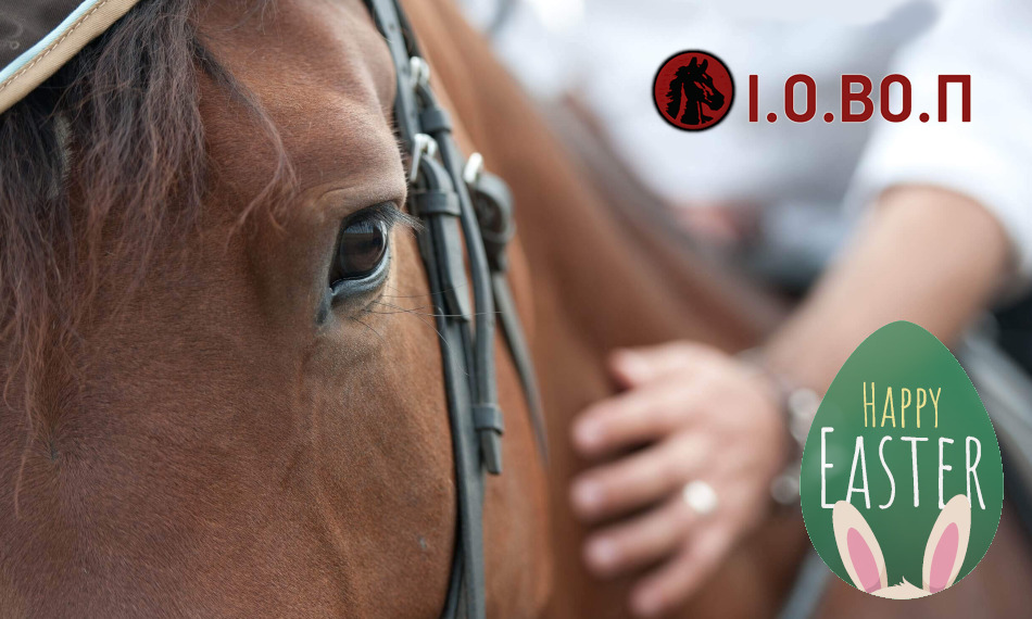 Ιππικός Όμιλος Βορείων Προαστίων, Βαρυμπόμπη