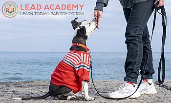 LEAD ACADEMY