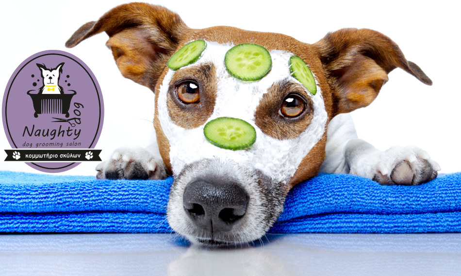 Naughty Dog, Κολωνός