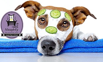 Naughty Dog, Κολωνός