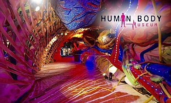 Πολυχώρος Nouvelle, Ωραιόκαστρο