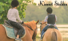 Βίλια Αττικής: Μαθήματα Ιππασίας & Βόλτες με Άλογο - 01