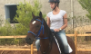 Βίλια Αττικής: Μαθήματα Ιππασίας & Βόλτες με Άλογο - 03