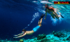 Snorkeling Εκδρομή στη Νήσο Φλέβες Αττικής - 01