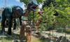 Πάρκο Δεινοσαύρων, Εκθέσεις & Παιχνίδι - 02