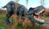 Πάρκο Δεινοσαύρων-Δράσεις-Πικ Νικ-Διασκέδαση - 11