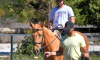 Μαθήματα & Βόλτα με Άλογο για Αρχάριους - 01