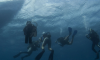 Κατάδυση Γνωριμίας (Discover Scuba Diving) - 03