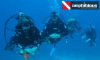 Scuba Diving Discovery με Εξοπλισμό & Φωτογραφίες - 01