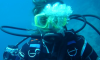 Scuba Diving Discovery με Εξοπλισμό & Φωτογραφίες - 02