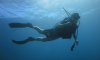 Κατάδυση Γνωριμίας (Scuba Diving) στα Λιμανάκια - 16