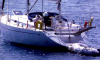 Κρουαζιέρα με Ιστιοπλοϊκό Σκάφος(με/χωρίς Skipper) - 03
