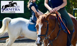 Μαθήματα & Βόλτα με Άλογο για Αρχάριους